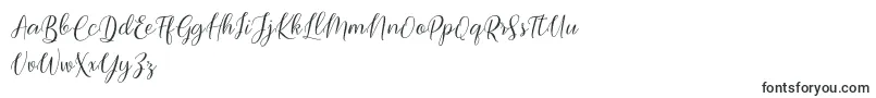 Czcionka Bimfly – czcionki kaligraficzne