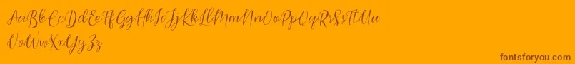 Bimfly Font – Brown Fonts on Orange Background