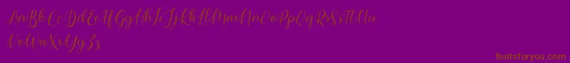 Bimfly Font – Brown Fonts on Purple Background