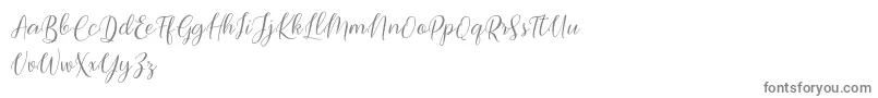 Bimfly Font – Gray Fonts on White Background