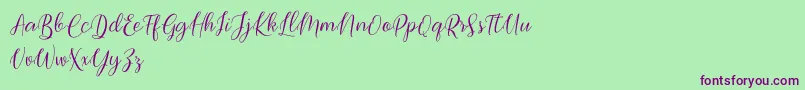 Bimfly Font – Purple Fonts on Green Background