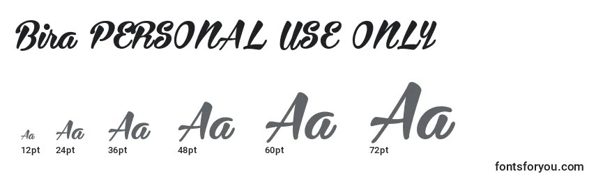 Bira PERSONAL USE ONLY Font Sizes