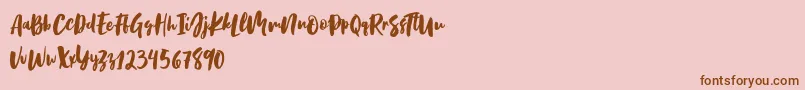 Birabella Script Font – Brown Fonts on Pink Background