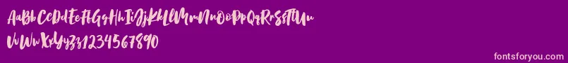 Birabella Script Font – Pink Fonts on Purple Background