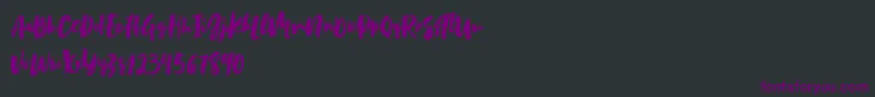 Birabella Script Font – Purple Fonts on Black Background