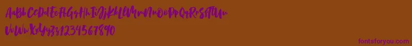 Birabella Script-Schriftart – Violette Schriften auf braunem Hintergrund