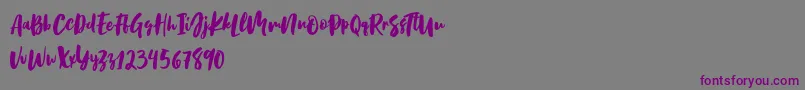 フォントBirabella Script – 紫色のフォント、灰色の背景