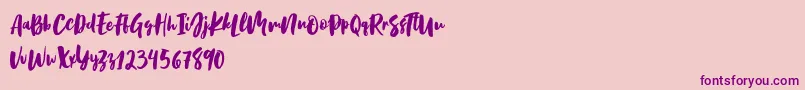 Birabella Script Font – Purple Fonts on Pink Background
