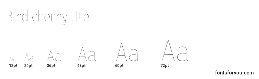 Bird cherry lite Font Sizes