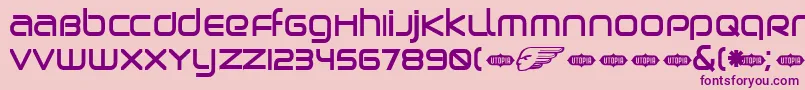 BIRDB    Font – Purple Fonts on Pink Background