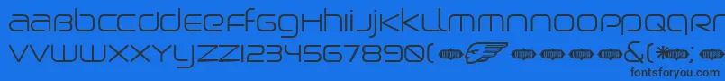 BIRDL    Font – Black Fonts on Blue Background