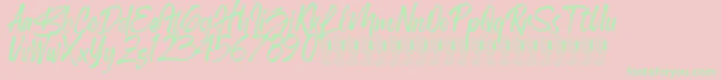 Birdrockers Demo Font – Green Fonts on Pink Background