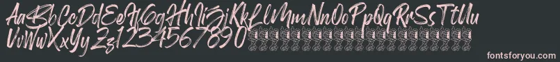 Birdrockers Demo Font – Pink Fonts on Black Background