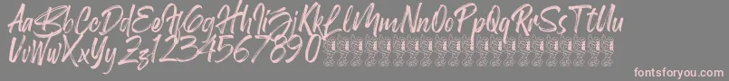 Birdrockers Demo Font – Pink Fonts on Gray Background