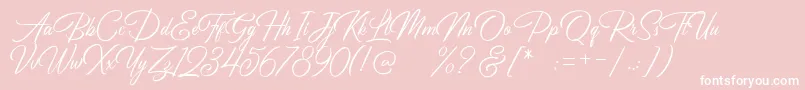 Birmingham Script DEMO Font – White Fonts on Pink Background