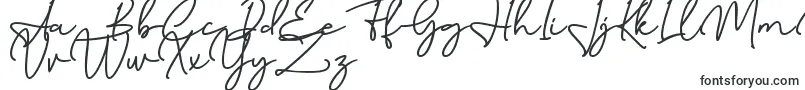Birmingham Signature DAFONT-Schriftart – Anziehende Schriften