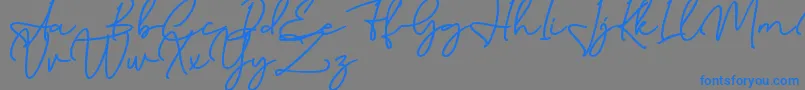 Birmingham Signature DAFONT-Schriftart – Blaue Schriften auf grauem Hintergrund