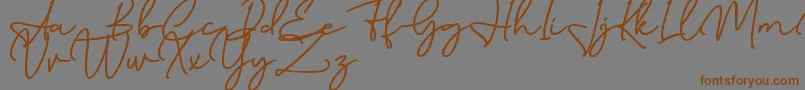 Birmingham Signature DAFONT Font – Brown Fonts on Gray Background