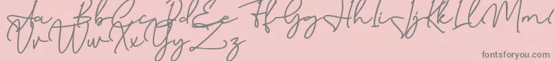 Birmingham Signature DAFONT Font – Gray Fonts on Pink Background