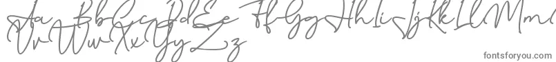 Czcionka Birmingham Signature DAFONT – szare czcionki na białym tle