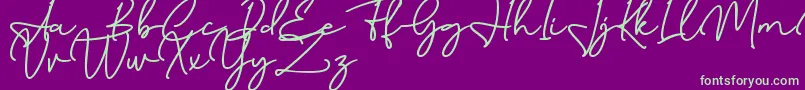 Birmingham Signature DAFONT Font – Green Fonts on Purple Background