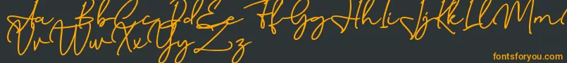 Birmingham Signature DAFONT-Schriftart – Orangefarbene Schriften auf schwarzem Hintergrund