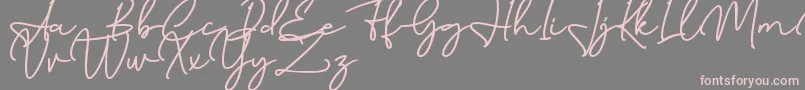 Birmingham Signature DAFONT-Schriftart – Rosa Schriften auf grauem Hintergrund