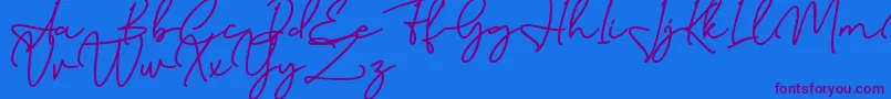 Birmingham Signature DAFONT Font – Purple Fonts on Blue Background