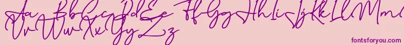 Birmingham Signature DAFONT Font – Purple Fonts on Pink Background