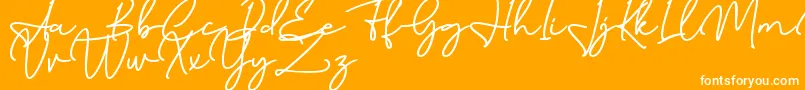 Birmingham Signature DAFONT-Schriftart – Weiße Schriften auf orangefarbenem Hintergrund