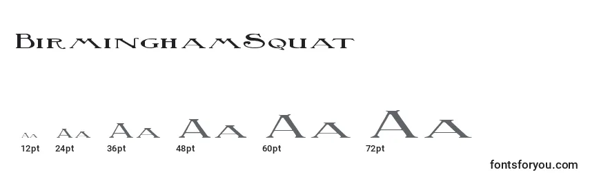 Размеры шрифта BirminghamSquat (121356)