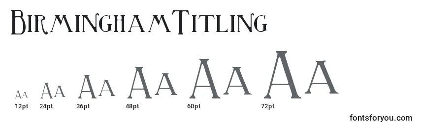 Размеры шрифта BirminghamTitling (121357)