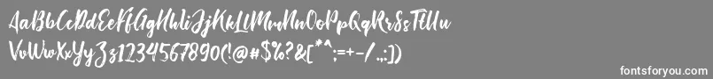 Bishella Script Font – White Fonts on Gray Background