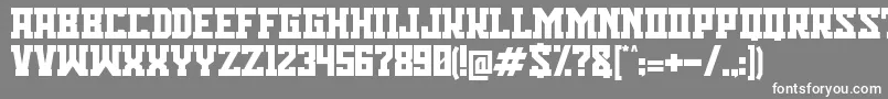 フォントBisson Capital Font – 灰色の背景に白い文字