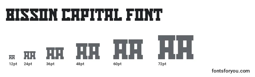 Bisson Capital Font Font Sizes