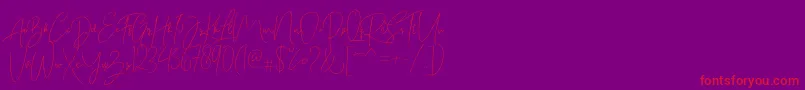 Bitlamero Script Font – Red Fonts on Purple Background