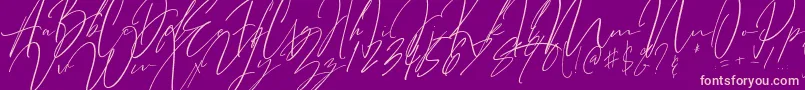 Bitter Mind Font – Pink Fonts on Purple Background