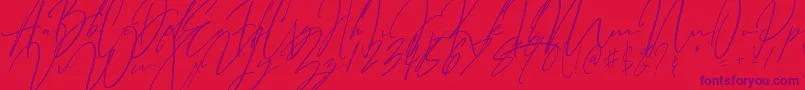 Bitter Mind-Schriftart – Violette Schriften auf rotem Hintergrund
