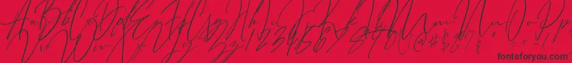 Bitter Mind-Schriftart – Schwarze Schriften auf rotem Hintergrund
