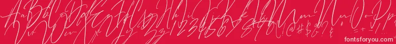 Bitter Mind-Schriftart – Rosa Schriften auf rotem Hintergrund