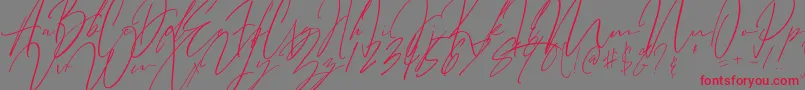 フォントBitter Mind – 赤い文字の灰色の背景