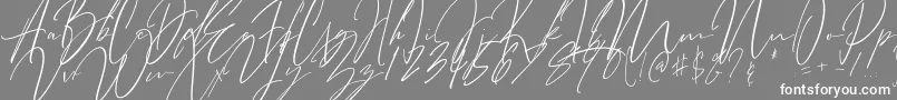 Шрифт Bitter Mind – белые шрифты на сером фоне