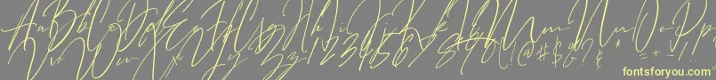 Bitter Mind-Schriftart – Gelbe Schriften auf grauem Hintergrund