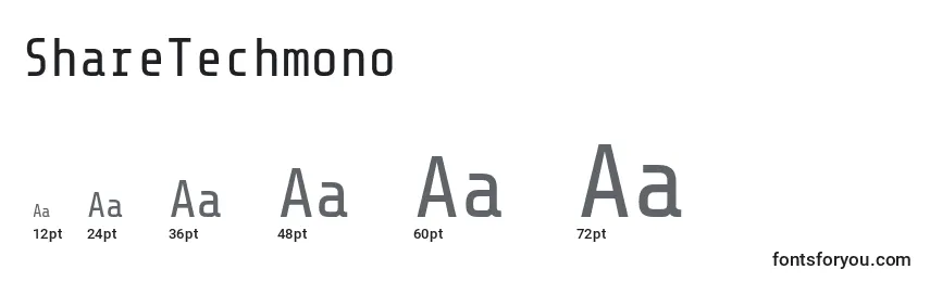 Размеры шрифта ShareTechmono