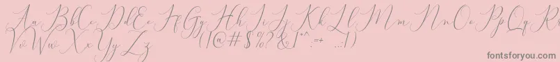 Bitthai Script Font – Gray Fonts on Pink Background
