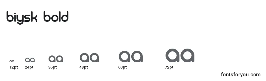 Biysk Bold Font Sizes