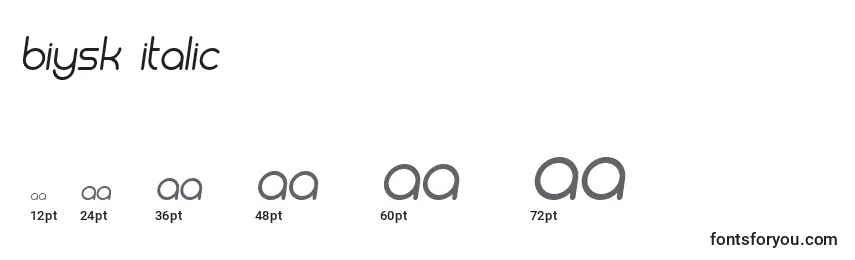 Размеры шрифта Biysk Italic