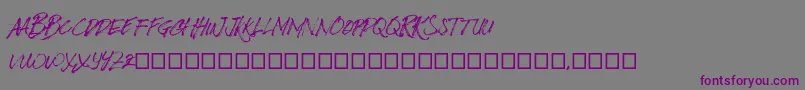 フォントBizardleSs – 紫色のフォント、灰色の背景
