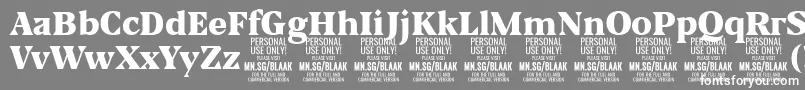 BlaakBlack PERSONAL-Schriftart – Weiße Schriften auf grauem Hintergrund