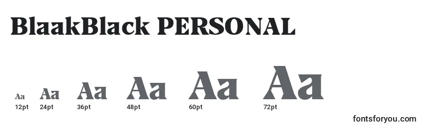 Размеры шрифта BlaakBlack PERSONAL